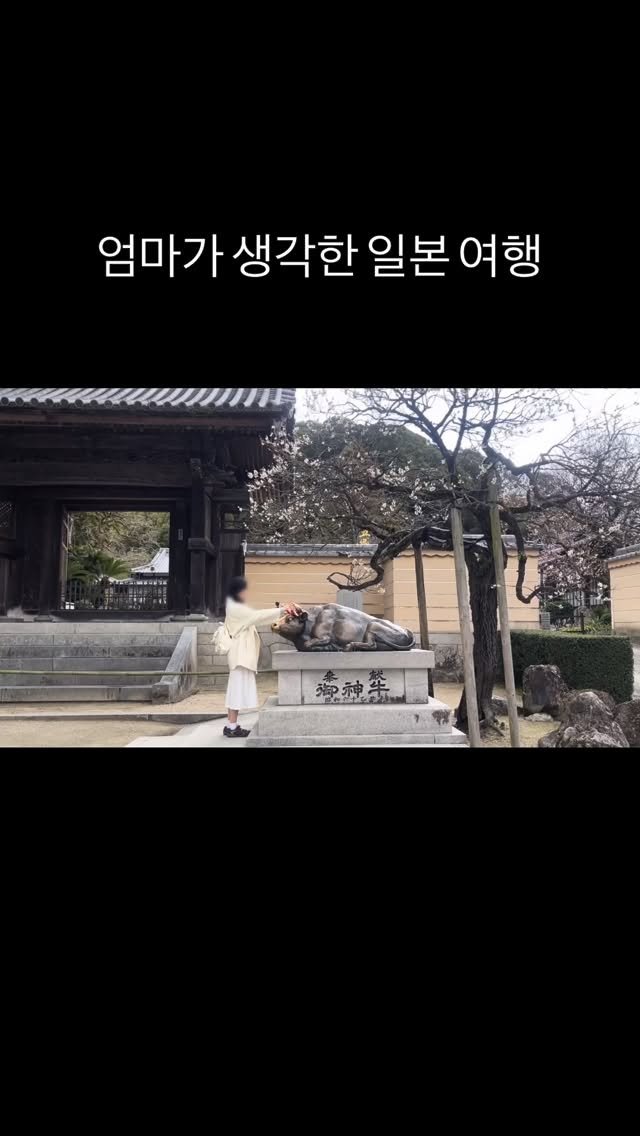 always._.pring 게시물 이미지: 실제 일본 여행 요약
: 💸

여러분은 어디에 많이 쓰셨나요?👇