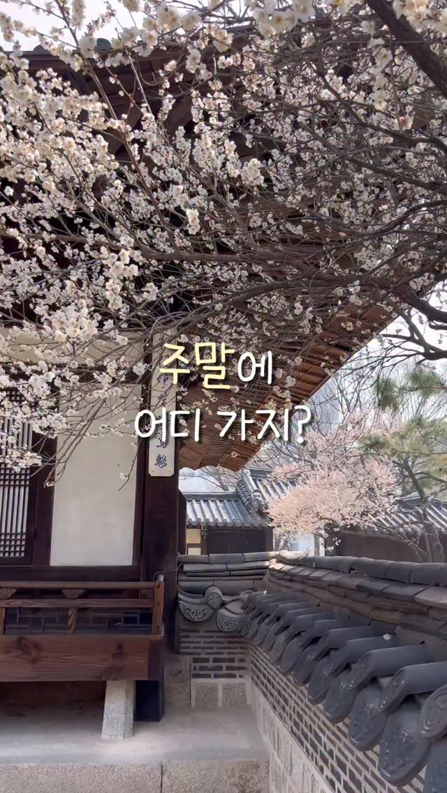 always._.pring 게시물 이미지: (공유)주말에 어디 갈지 고민된다면

서울 매화 명소 찾고 있다면
여기 무조건...