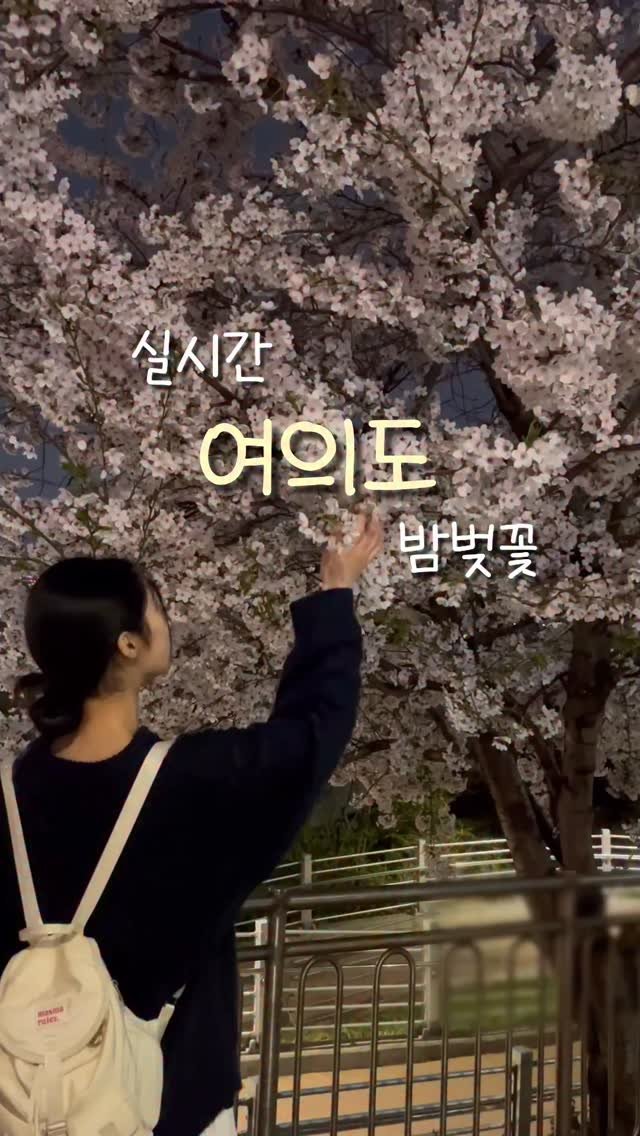 always._.pring 게시물 이미지: 여의도를 밤에 가야 하는 이유

여의도 밤벚꽃 구경하러 다녀오세요
낮보다 한산하고...