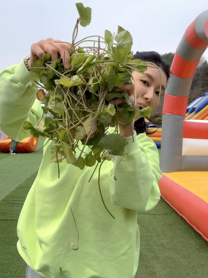 alyn_view 게시물 이미지: ”뭐에요??“
생병풀이랍니다!
생병풀 본적있으세요? 
저도 이거 처음 봤는데...