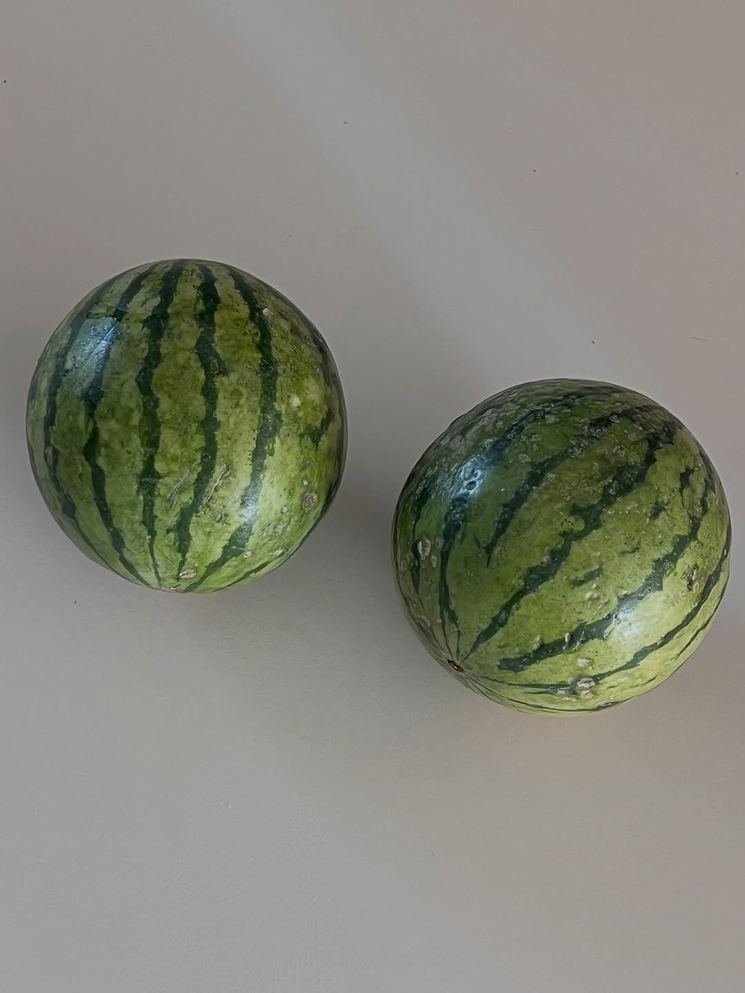 Photo by 김 아린 아린뷰 (alyn_view) on August 12, 2025. May be an image of watermelon, cantaloupe, melon, fruit cocktail and text.