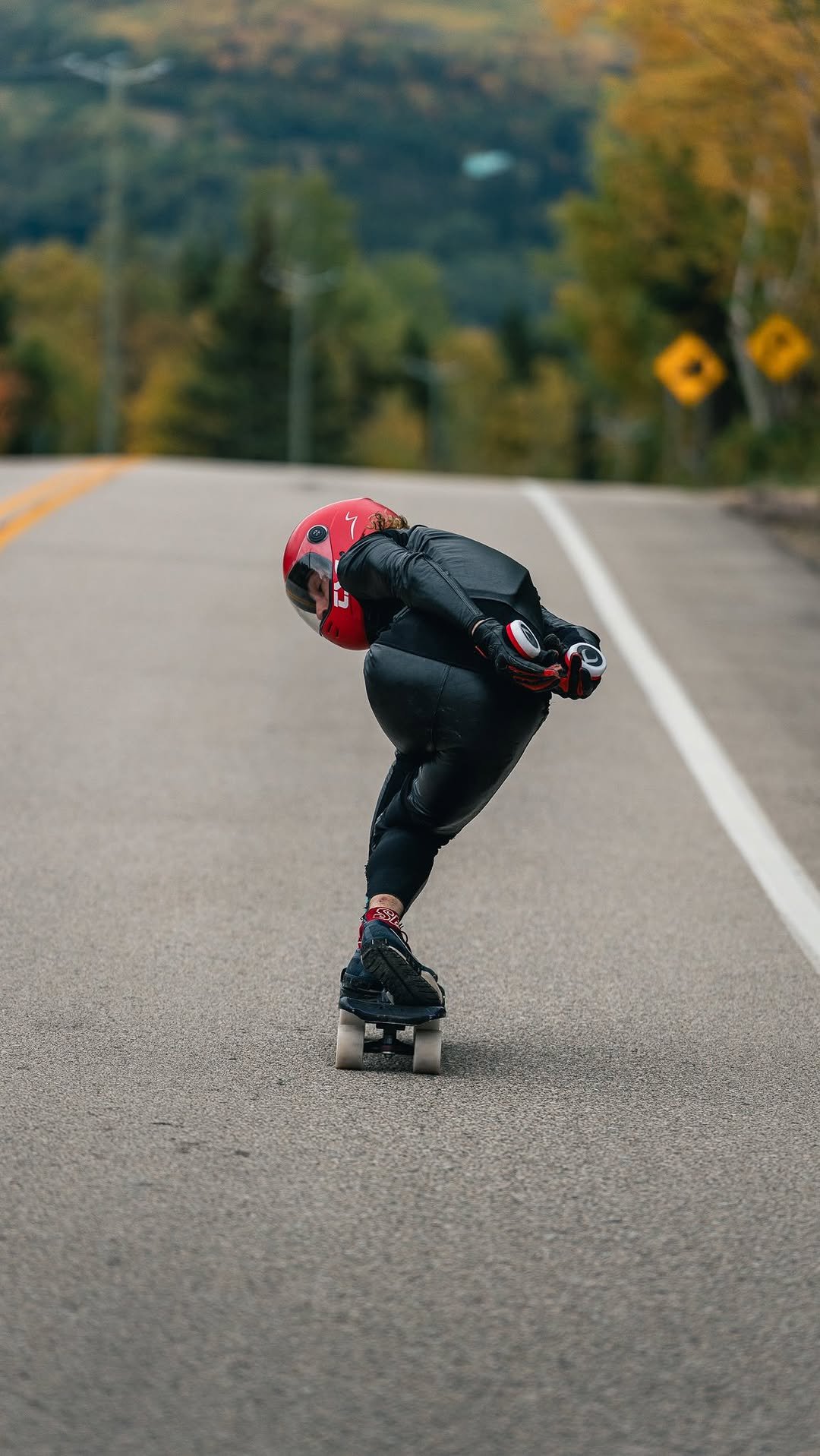 ambroisetrt 게시물 이미지: We found this beast road on the way back to...