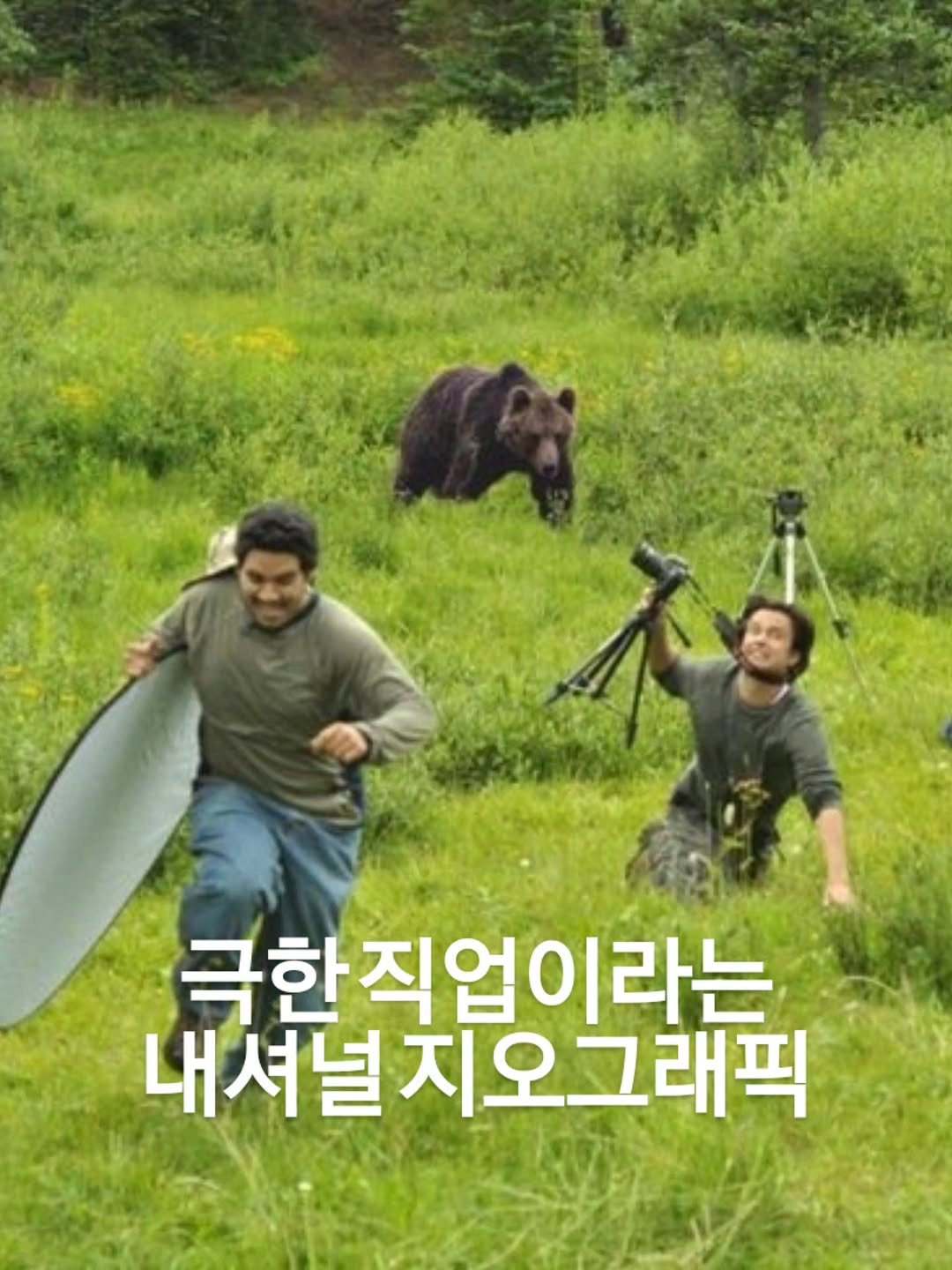 Photo by 아미미맘〡책육아 • 엄마표교육 • 워킹맘 on February 07, 2026. May be an image of bear and text that says '극한직업이라는 내셔널 내셔널지오그래픽 오그래픽'.