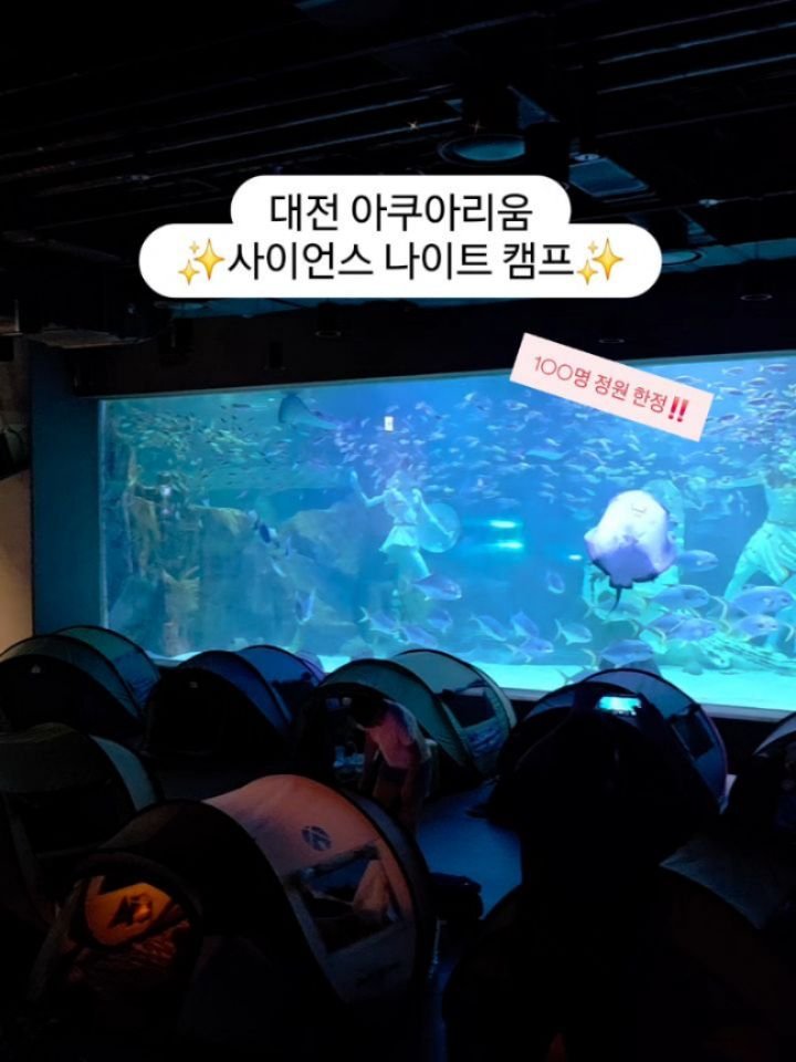 amimimom 게시물 이미지: 📌 아미미맘 특별 할인은 종료되었지만
마이리얼트립 3% 할인쿠폰으로 예약은 계속...