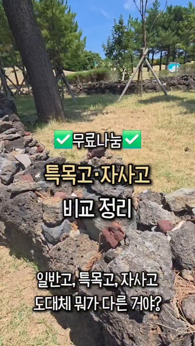 amimimom 게시물 이미지: (무료자료) 특목고·자사고 특징 비교
1️⃣ 아미미맘 @amimimom...