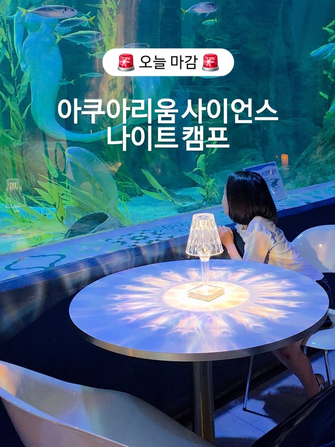 Photo by 아미미맘〡책육아 • 엄마표교육 • 워킹맘 on September 21, 2025. May be an image of 1 person, fish and text that says '오늘 마감 아쿠아리움사이언스 사이언스 나이트캠프 나이트 캠프'.