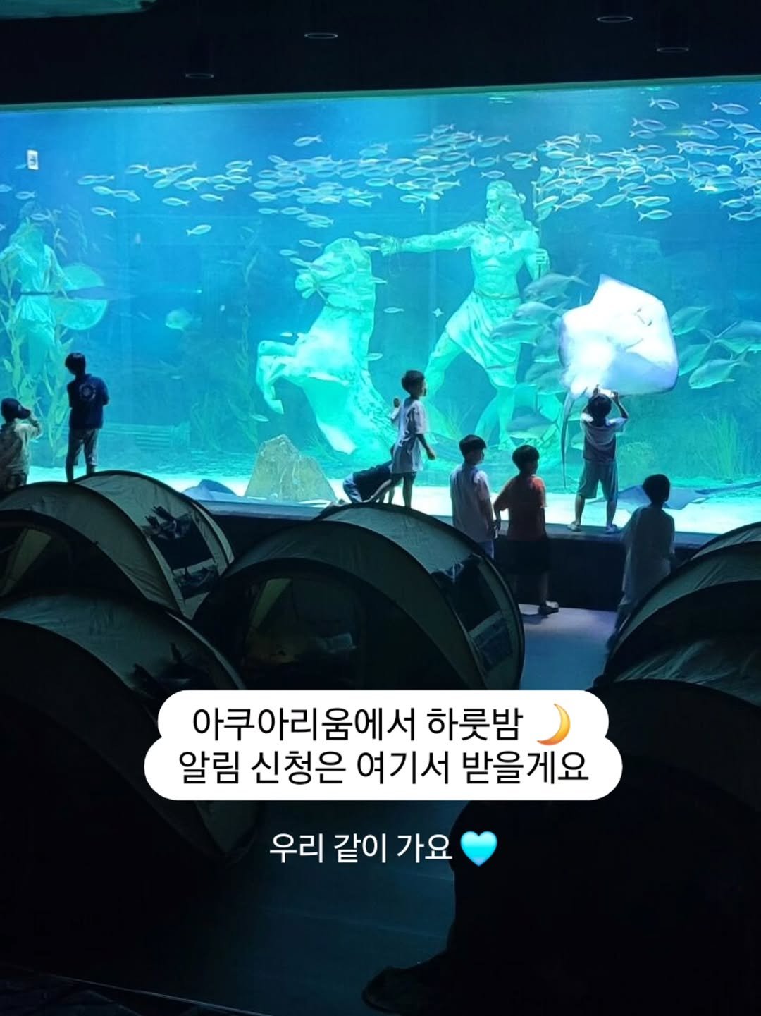 Photo by 아미미맘〡책육아 • 엄마표교육 • 워킹맘 on September 17, 2025. May be an image of 8 people, fish, aquarium and text that says '아쿠아리움에서 하룻밤 알림 신청은 여기서 받을게요 우리 같이 가요'.