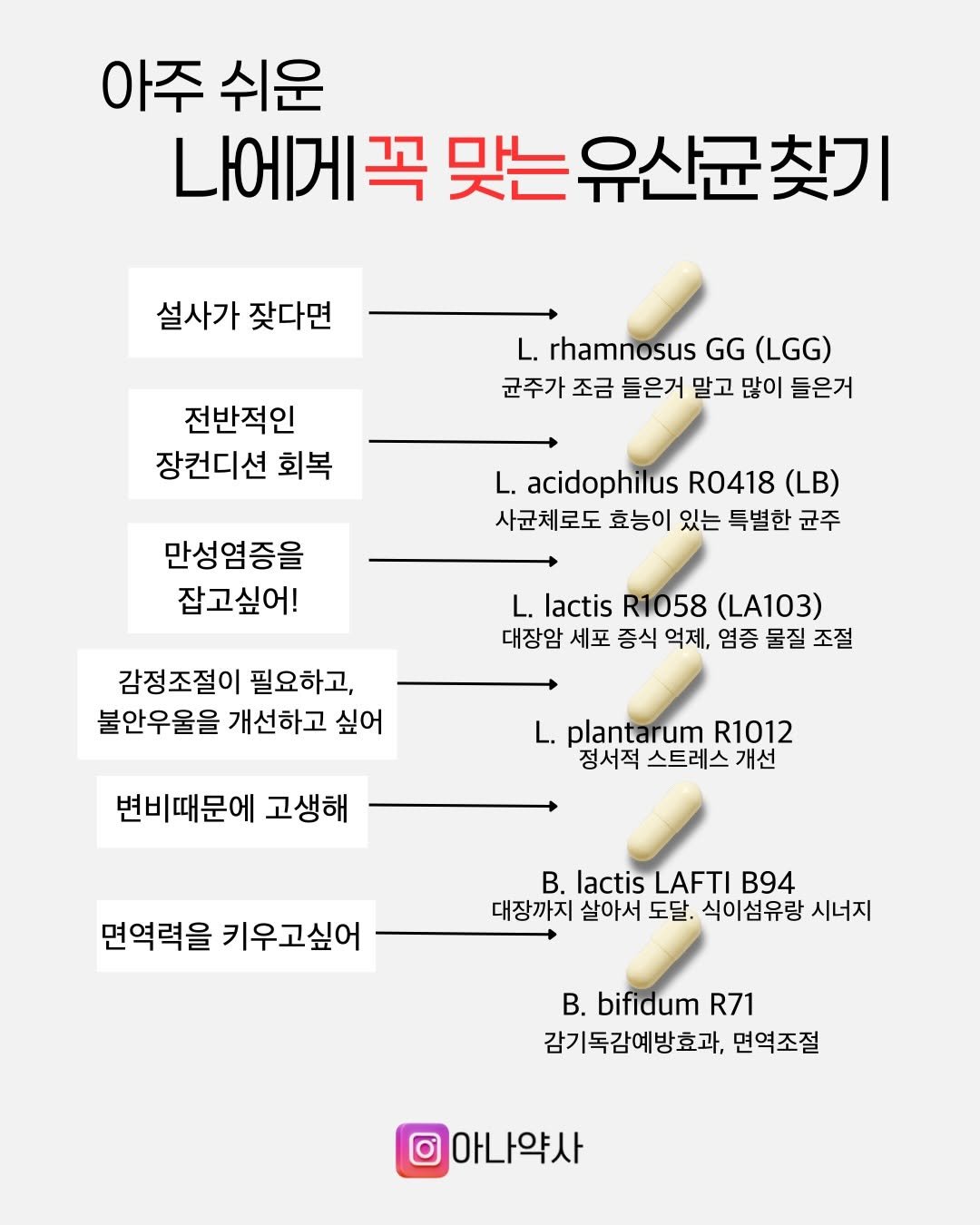 Photo by 아나약사  | 김진아  health • beauty on December 09, 2025. May be an image of text that says '아주 쉬운 나에게꼭 맞는 유산균 찾기 설사가 잦다면 L. rhamnosus GG (LGG) 균주가 조금 들은거 말고 많이 들은거 전반적인 장컨디션 회복 만성염증을 잡고싶어! L. acidophilus R0418 (LB) 사균체로도 효능이 있는 특별한 균주 L. lactis R1058 (LA103) 대장암 세포 증식 억제, 염증 물질조절 조절 물질 감정조절이 필요하고, 불안우울을 개선하고 싶어 변비때문에 고생해 L. plantarum R1012 정서적 스트레스 개선 면역력을 키우고싶어 Β. lactis LAFTI B94 대장까지 살아서 도달. 식이섬유랑 시너지 Β. bifidum R71 감기독감예방효과, 면역조절 아나약사'.