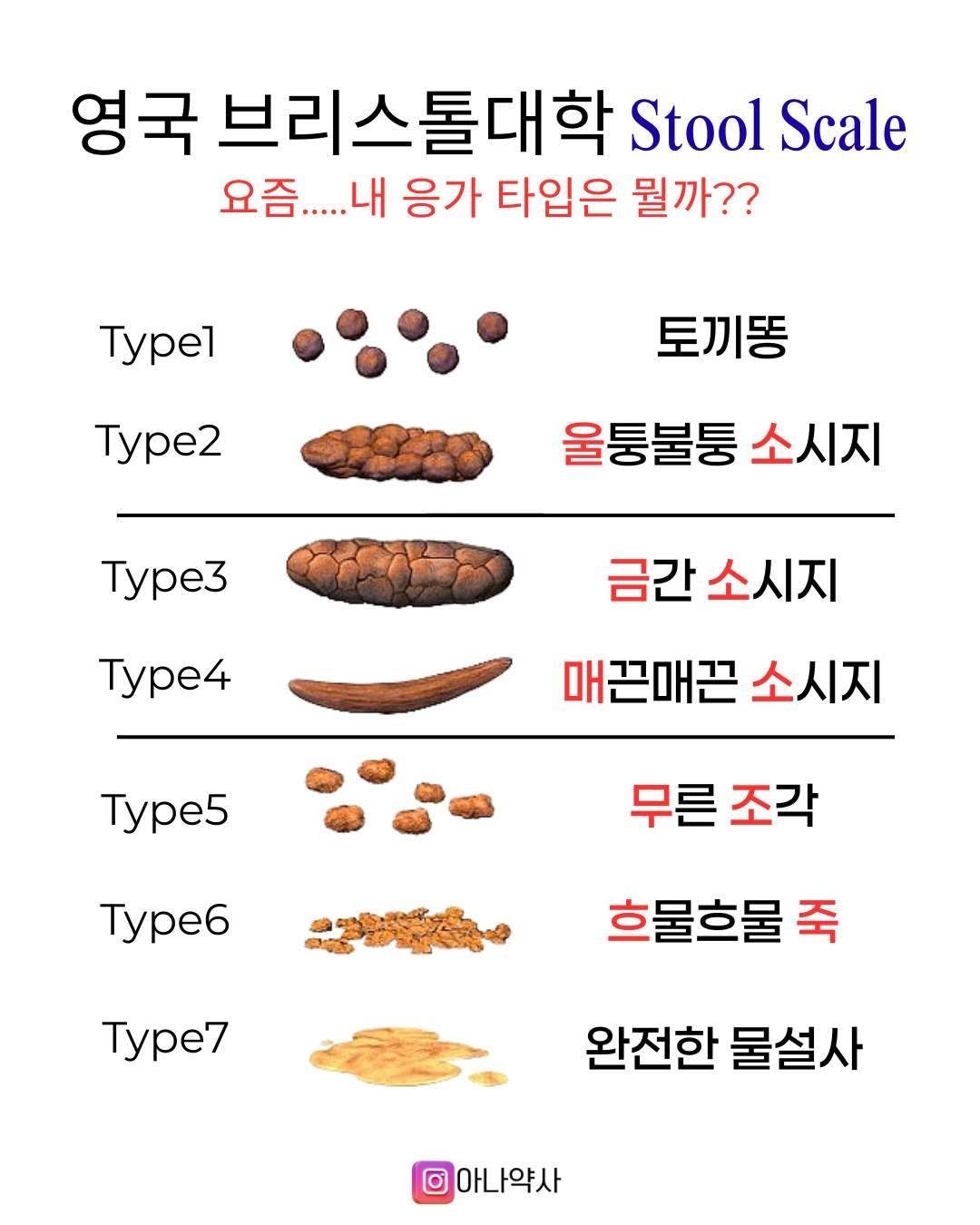 Photo by 아나약사  | 김진아  health • beauty on December 07, 2025. May be an image of pie and text that says '영국 브리스톨대학 Stool Scale 요즘..... 내 응가 타입은 뭘까?? Tpe1 Type2 토끼똥 울퉁불퉁 소시지 Type3 Type4 금간 간소시지 매끈매끈 소시지 Type5 Type5 무른 조각 Type6 Type7 Type7 흐물흐물 죽 완전한 물설사 아나약사'.