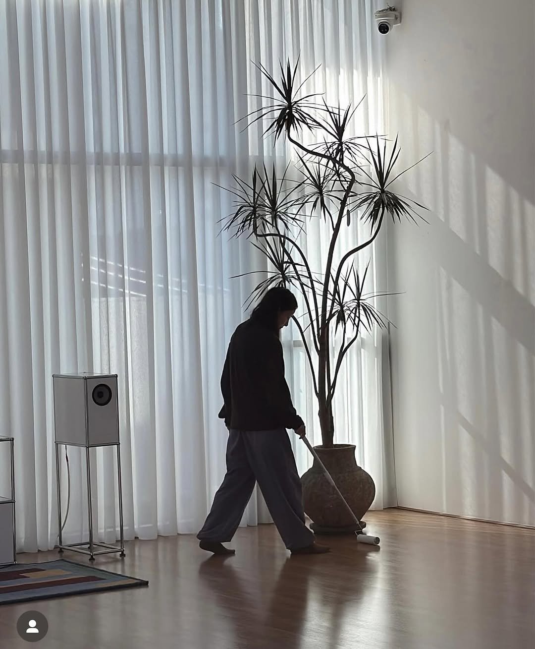 Photo by ananda yoga on October 26, 2025. May be an image of curtains.