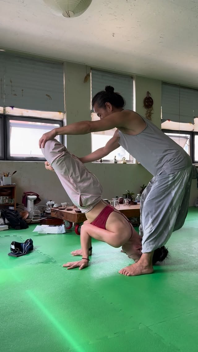 anande_yoga 게시물 이미지: 참으로 귀한 시간이었다.
너무나도 긴 여운으로 남아있는 #아난드요가 🫶🏻✨
#제주수련