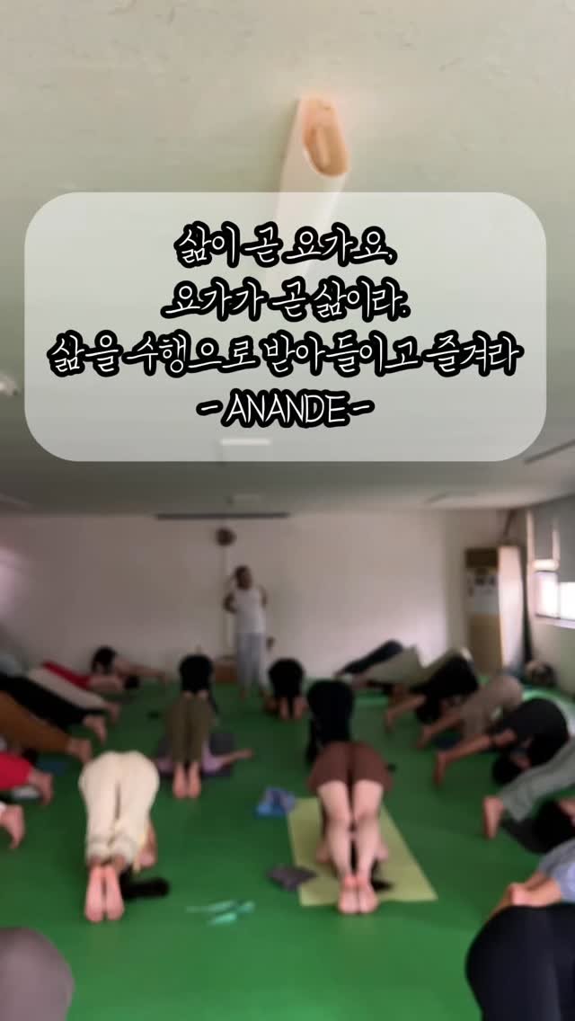 anande_yoga 게시물 이미지: #아난드선생님 #하타요가워크샵 

10월 3일 하타요가 시퀀스 워크샵은
“기울기 +...