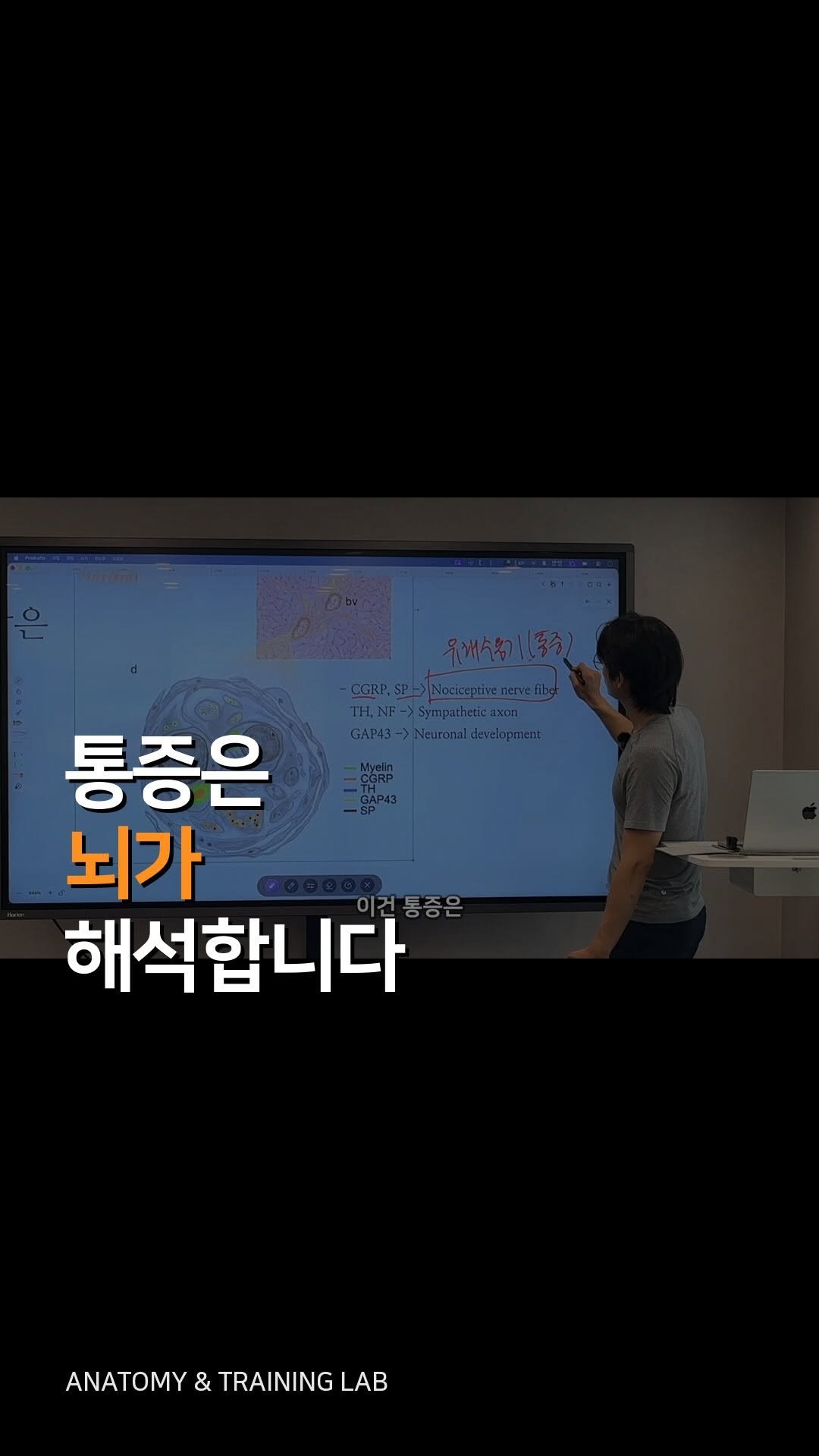 anatomy_n_training 게시물 이미지: 산들바람이 누군가에게는 
참기 힘든 통증이 될 수도 있음