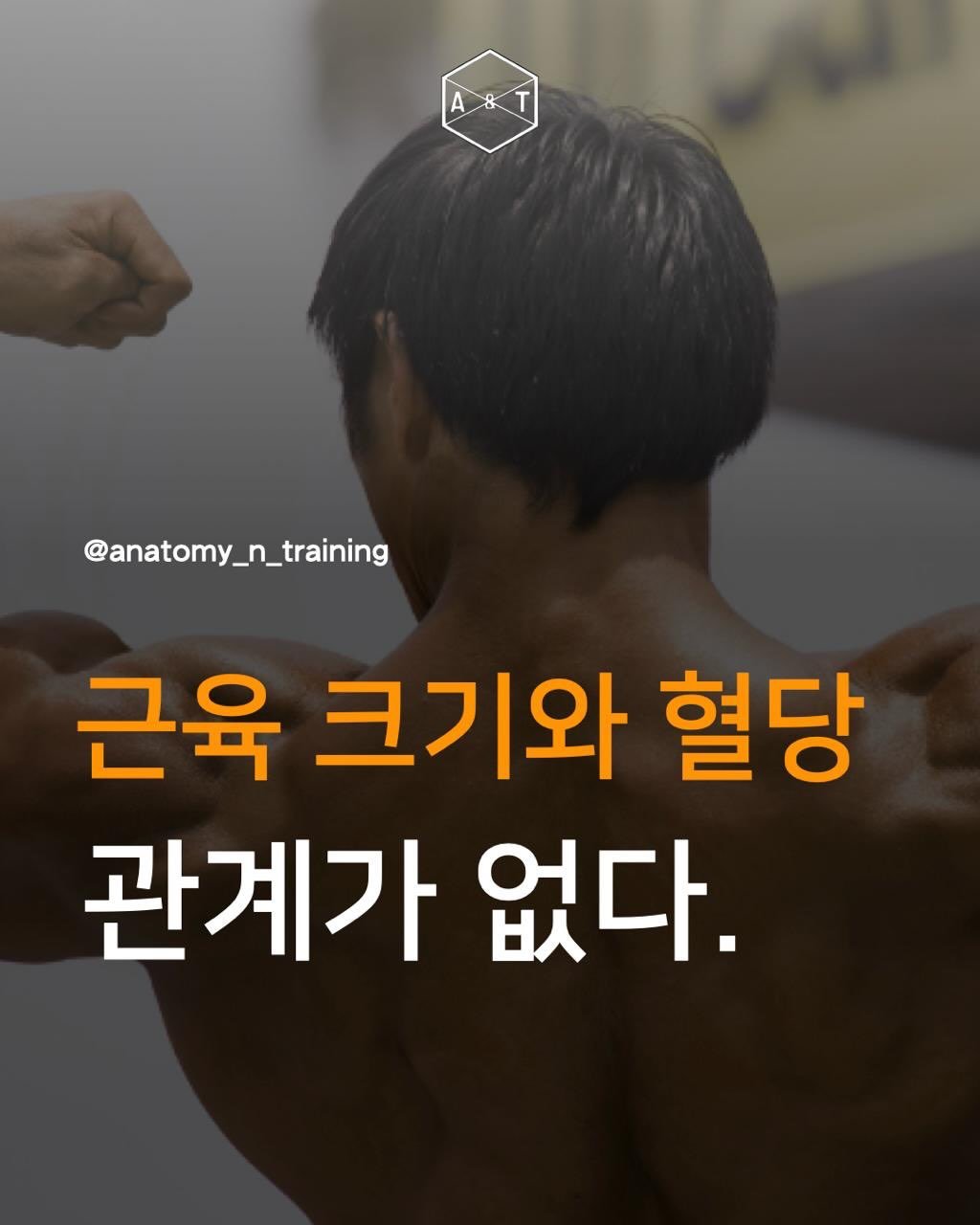 anatomy_n_training 게시물 이미지: 근육량은 당연히 중요함. 
하지만 그거 믿고 안움직이면 뒤통수 맞음.
