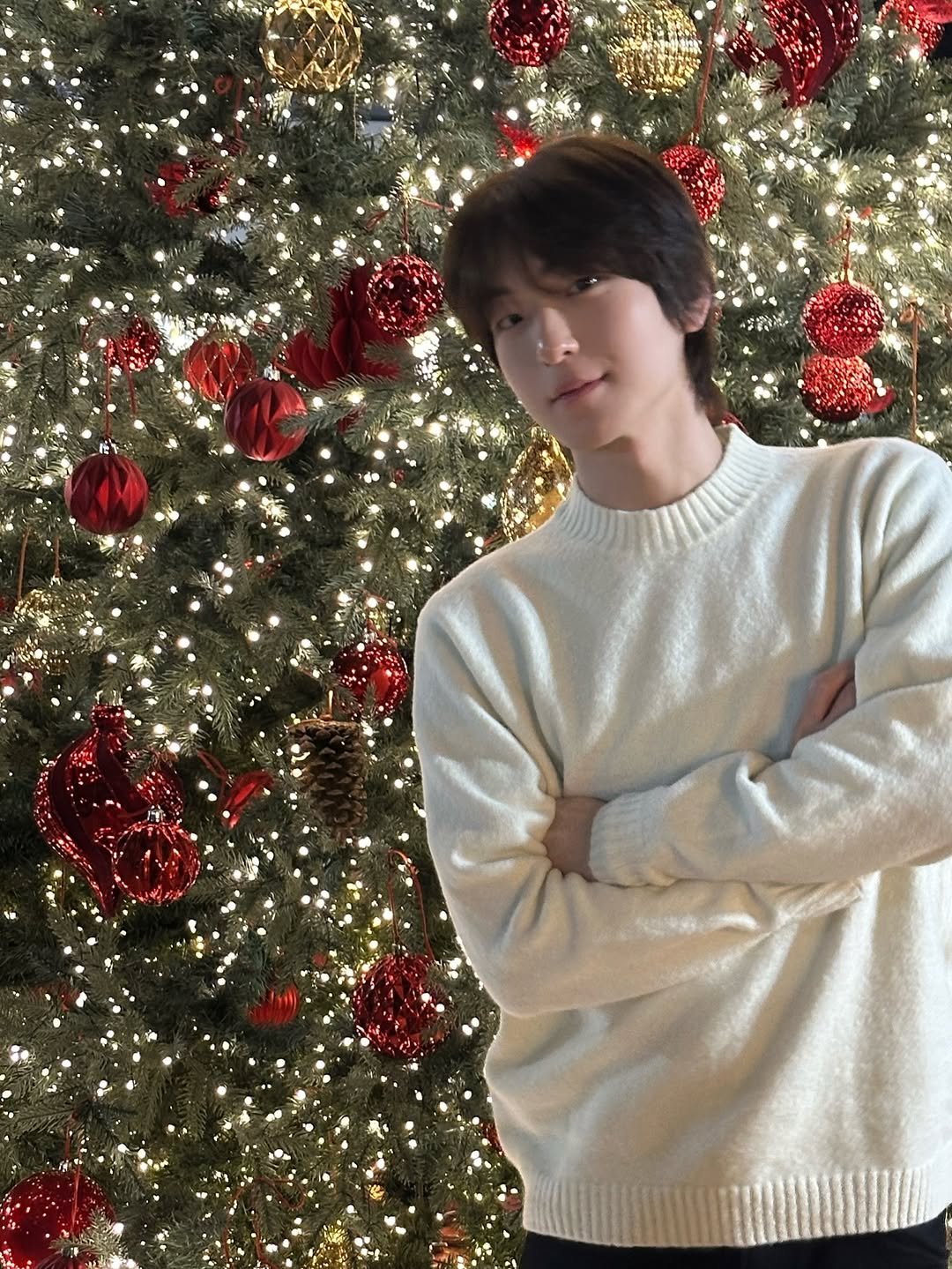 Photo shared by 안찬혁 on December 15, 2025 tagging @uniqlokr. May be an image of one or more people, bangs, tree and text.