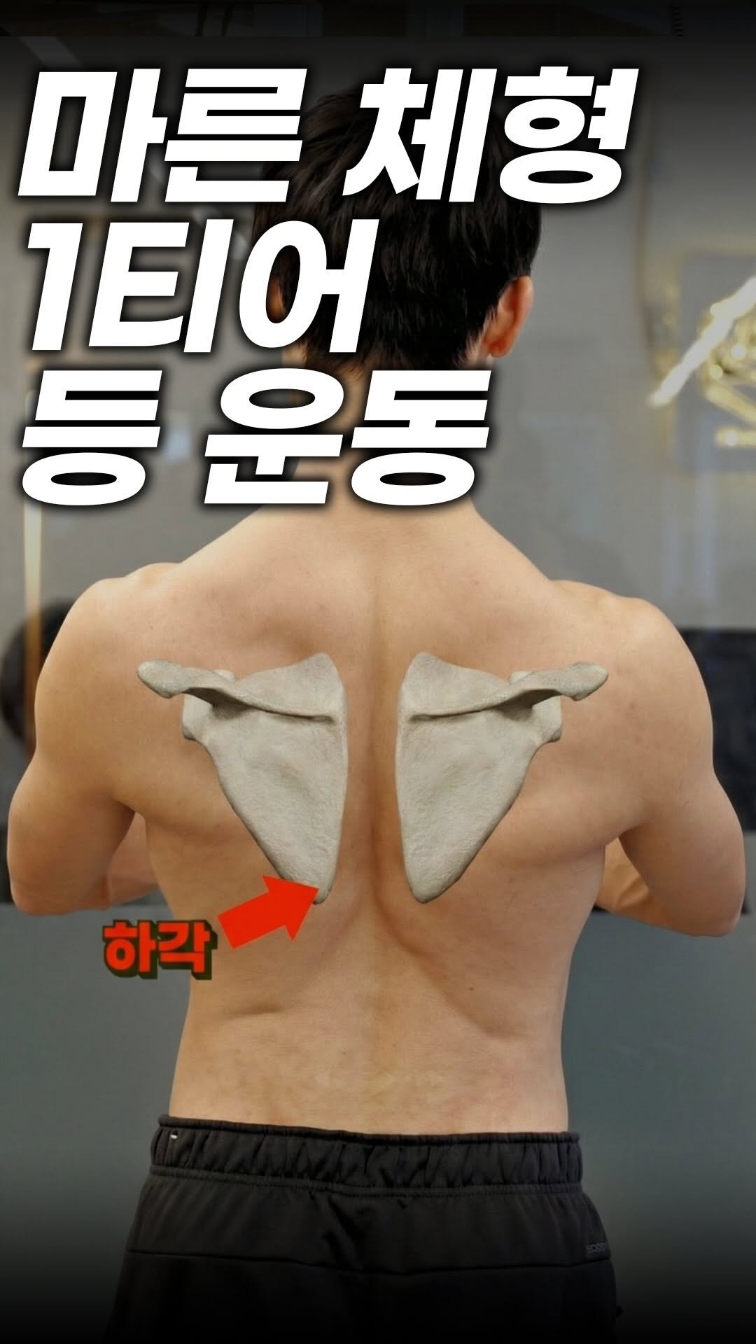 anchovy_president 게시물 이미지: 마른 체형 1티어 등 운동!
#헬린이 #벌크업 #메루치양식장