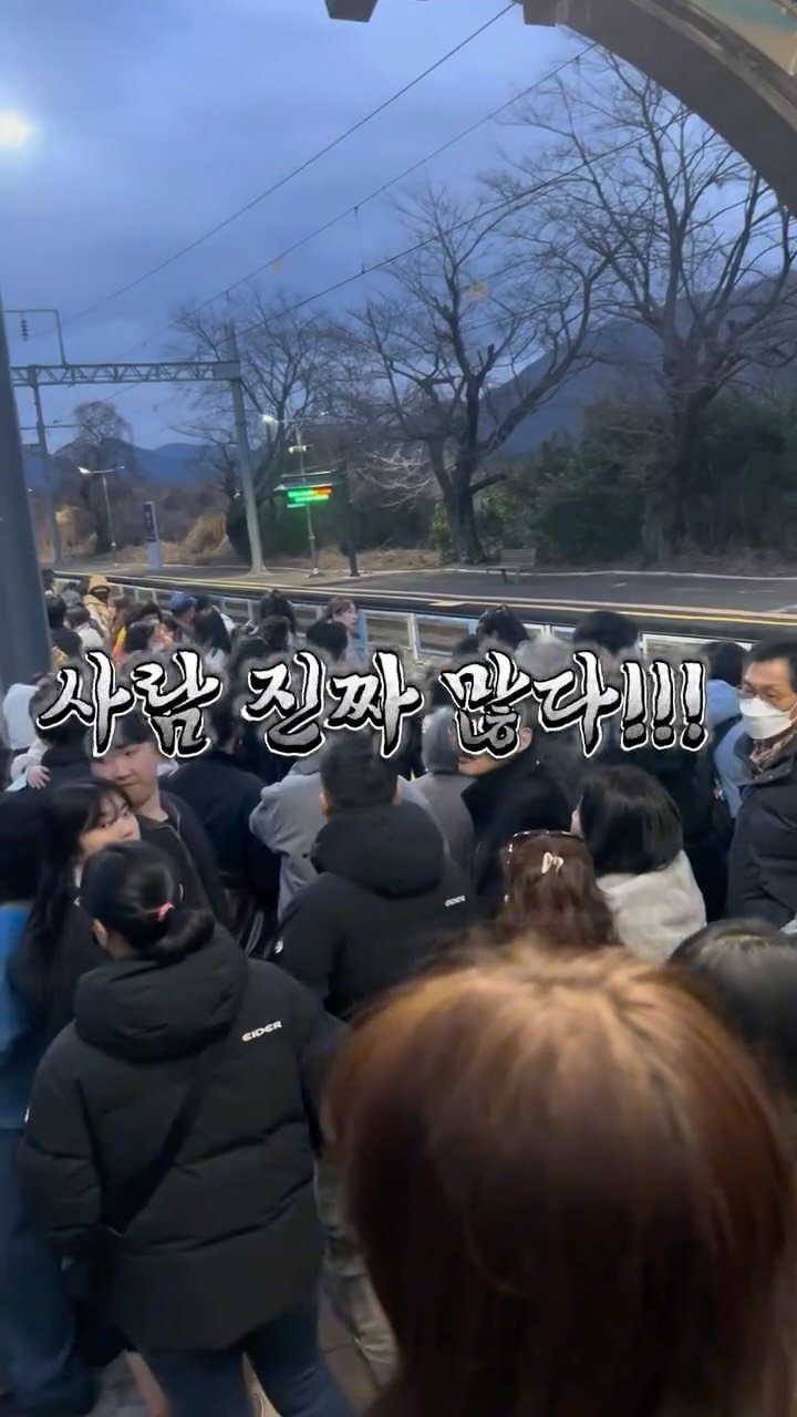 angdi09815 게시물 이미지: 3/1일 경남 양산 원동역 실시간! 

원동 미나리 축제도 취소되고, 
원동 매화...