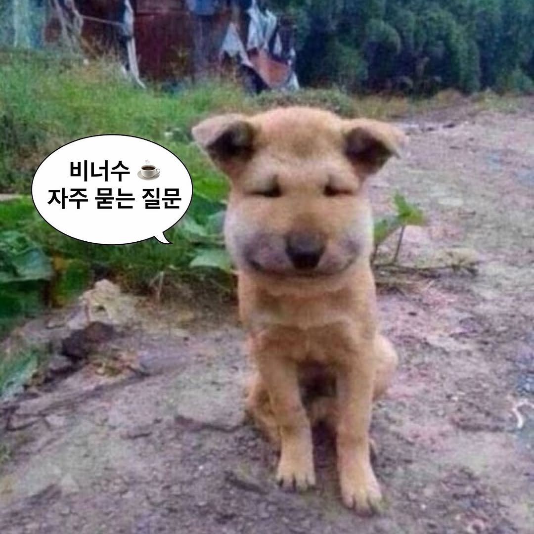 Photo by 앙꼬수지 on December 02, 2025. May be a meme of Chow, pie and text that says '비너수 자주 묻는 질문'.