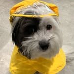 ourhaero 프로필 사진