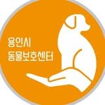 yongin_pet 프로필 사진