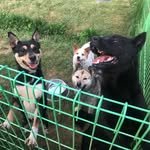 forhappiness_2019 프로필 사진