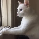 ihyonam1271 프로필 사진