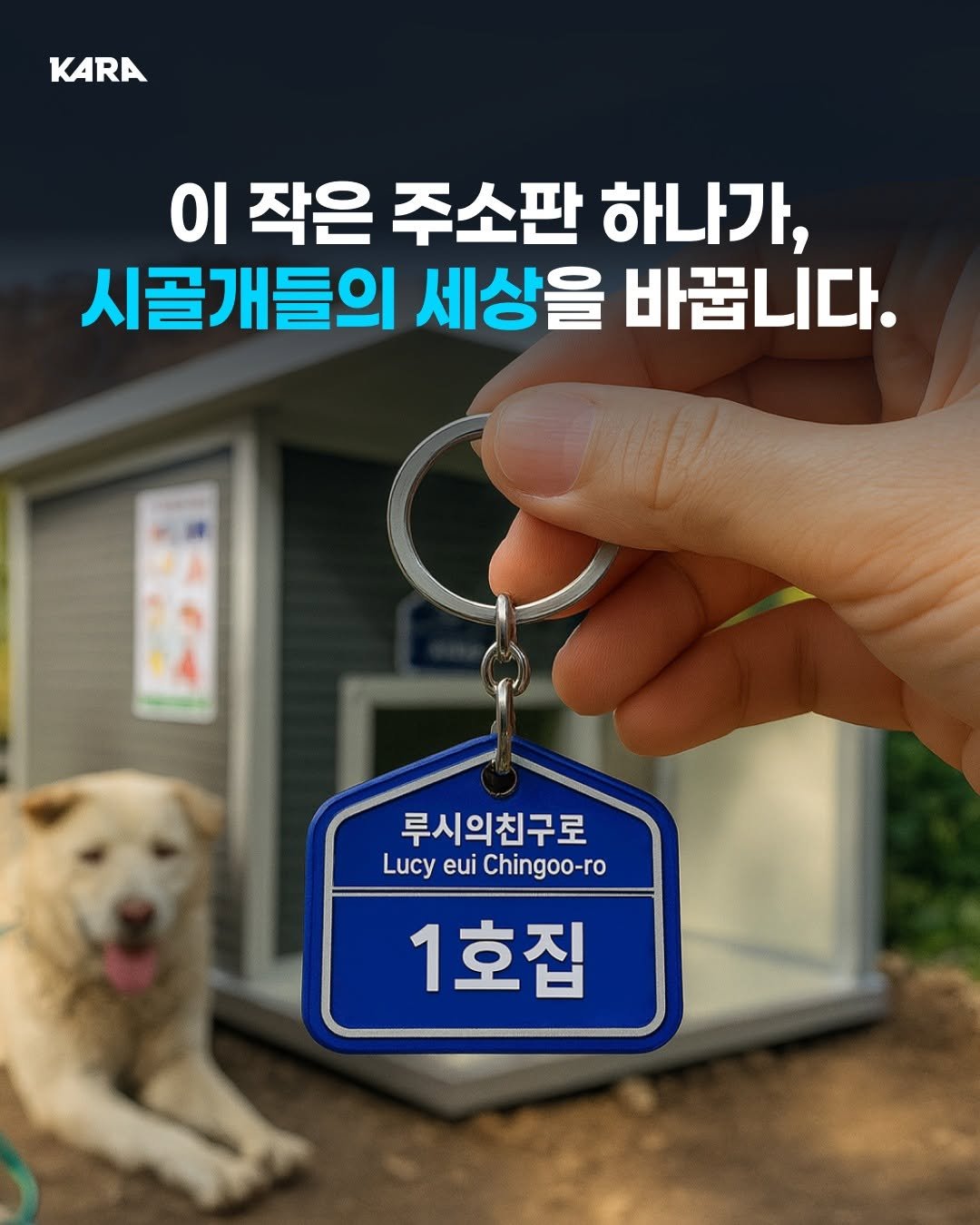 Photo by 동물권행동 카라 공식계정 on September 02, 2025. May be an image of text that says 'KARA 이 작은 주소판 하나가, 시골개들의 세상을 바꿉니다. 루시의친구로 Lucy eui Chingoo-ro 1호집'.