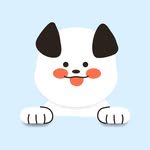 puppy_hotple 프로필 사진