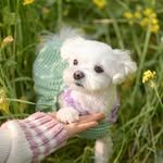 seodong_love 프로필 사진