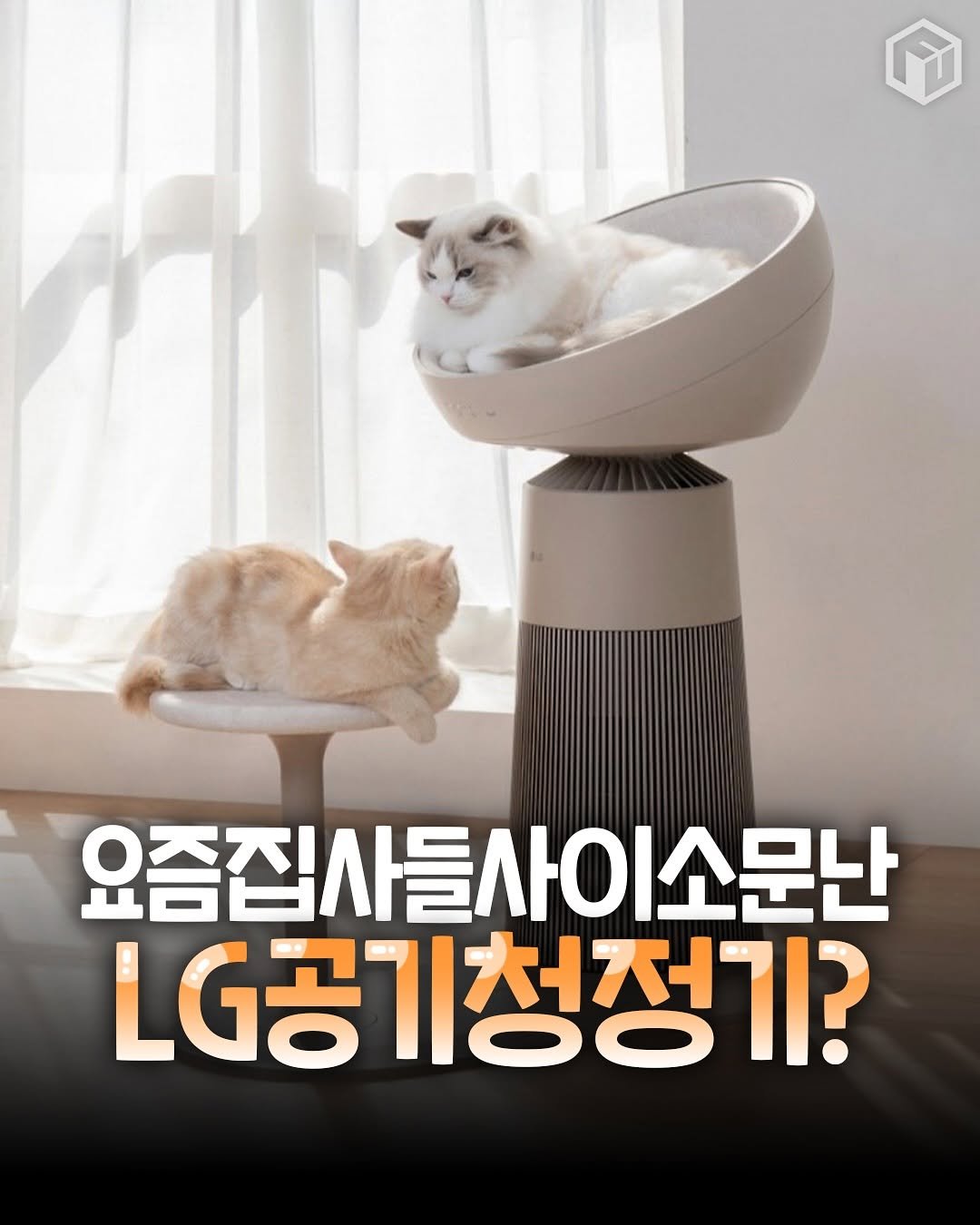 Photo by 애니멀톡[애견동반 장소 / 동물 정보 / 이슈] on August 11, 2025. May be an image of text that says '요즘집사들사이소문난 요즘집사들 LGd LG공기청정기?'.