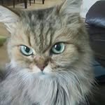 kimjinyoung5450 프로필 사진