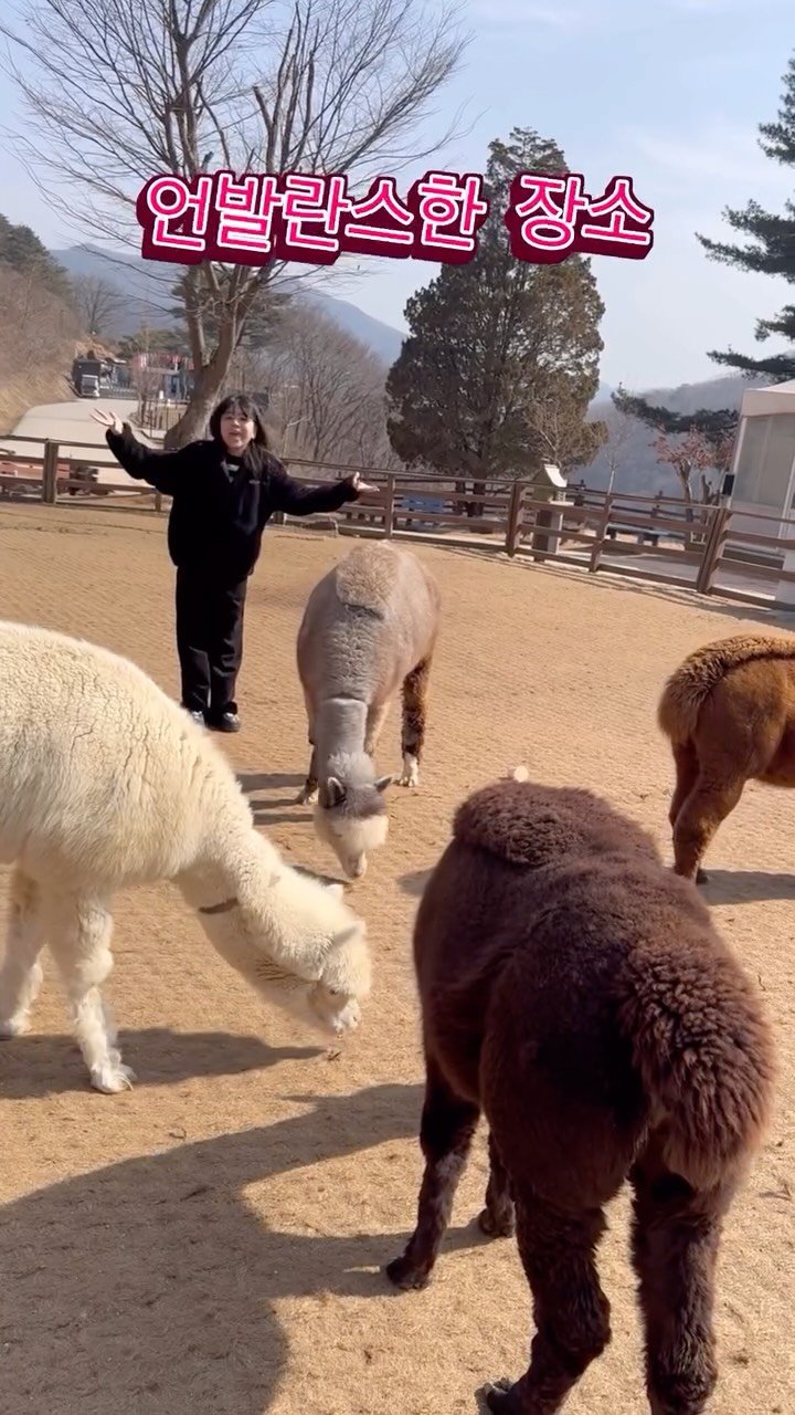 annemami5566 게시물 이미지: 오랜만에 나들이....언발란스 하다 우리

이수랑 너는 말이 왜이렇게...