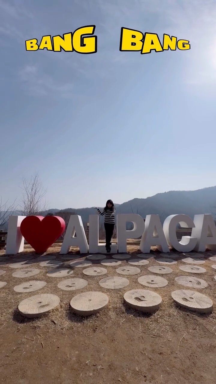 annemami5566 게시물 이미지: 이수의 기획과 연출 아래
알파카월드에서 댄스 🥰

아빠: 컷!! 이렇게...