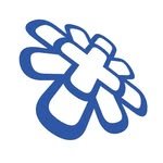 blossomcreative_official 프로필 사진