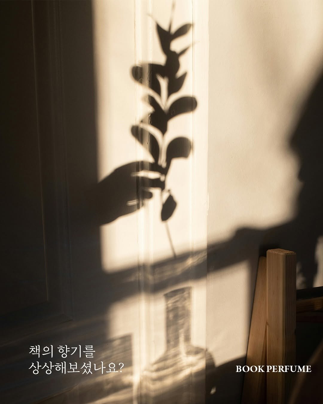 Photo shared by 안온북스 on August 12, 2025 tagging @ohscent. May be an image of house plant and text.