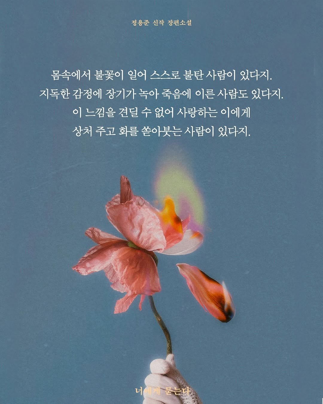 Photo by 안온북스 on July 29, 2025. May be an image of poster, baby's-breath and text that says '정융준신차장편소실 정용준 신작 장편소설 몸속에서 불꽃이 일어 스스로 불탄 사람이 있다지. 지독한 감정에 장기가 녹아 죽음에 이른 사람도 있다지. 이 느낌을 견딜 수 없어 사랑하는 이에게 상처 주고 화를 쏟아붓는 쏟아 사람이 있다지. 너에게묻는다.'.