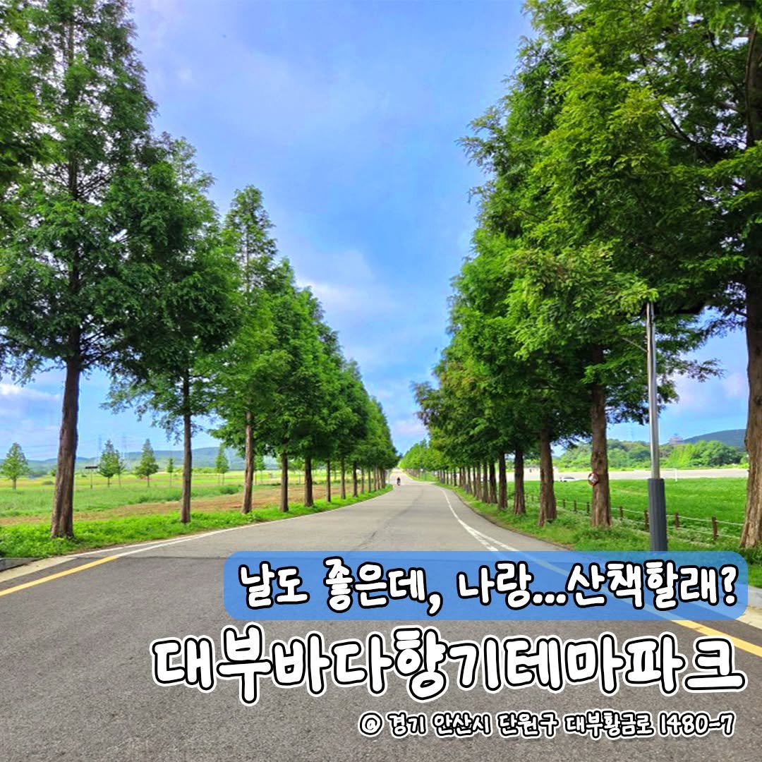 Photo by 안산여행 on July 22, 2025. May be an image of road and text that says '날도 좋은데, 나랑... 산책할래? 대부바다항기데마파크 창기테마파크 경기 안산시 단원구 대부황금로 1480-7'.