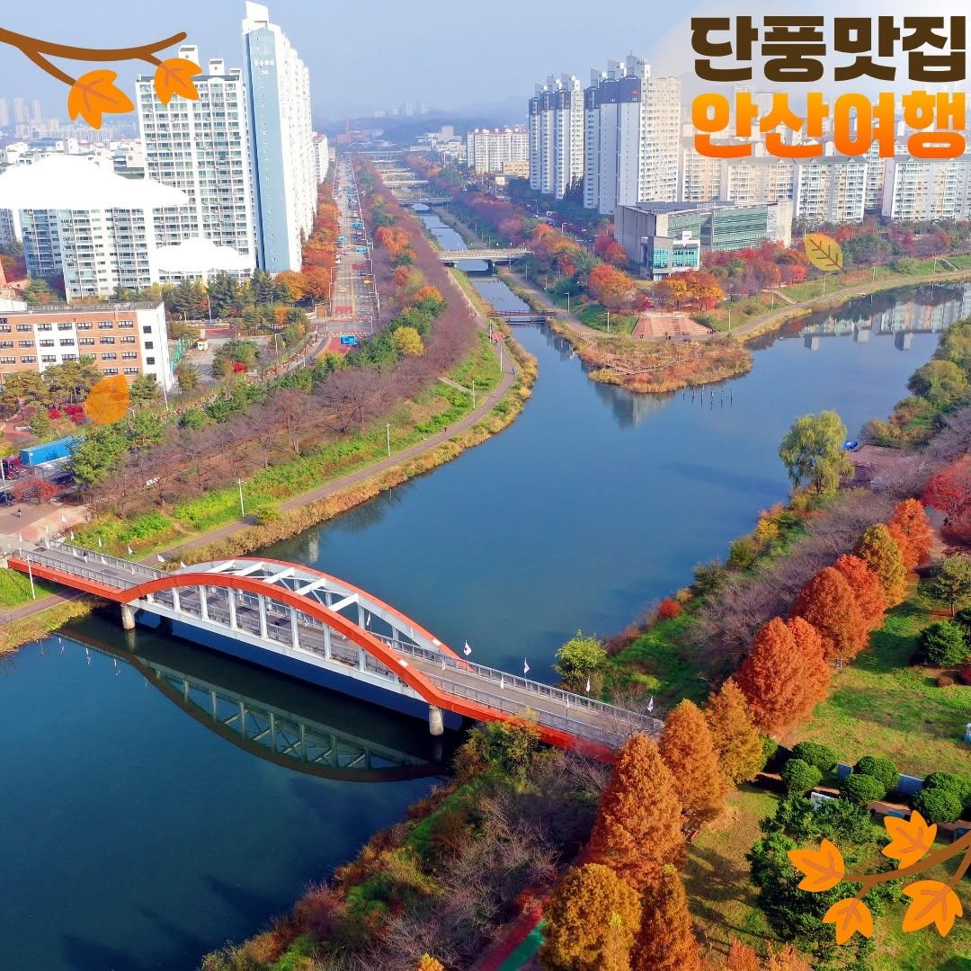 Photo by 안산여행 on November 09, 2025. May be an image of ‎outdoors and ‎text that says '‎단풍맛집 안산여행 -E ごは 2 5 سب اه 2자 ف‎'‎‎.