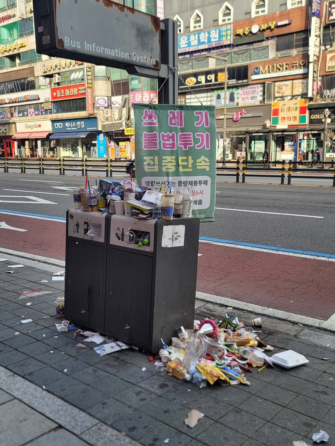 Photo by 안산소식(안산맛집/안산카페/안산맘/대부도/새솔동/시흥맛집) on November 08, 2025. May be an image of garbage, plastic bag, newspaper, street and text.