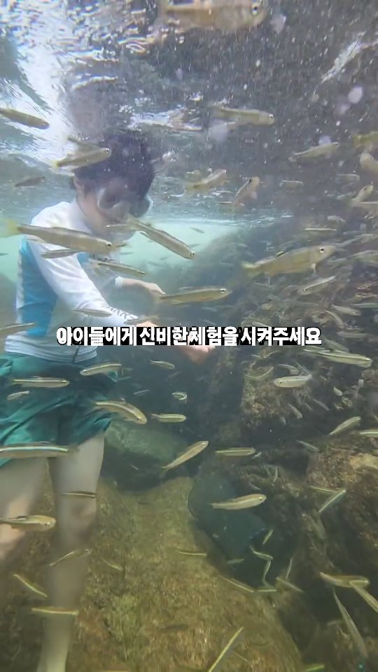 ant_works 게시물 이미지: 식빵 한조각 준비하시고 쏘세요‼️
대한민국 최고의 계곡중에 한곳입니다.
물반...
