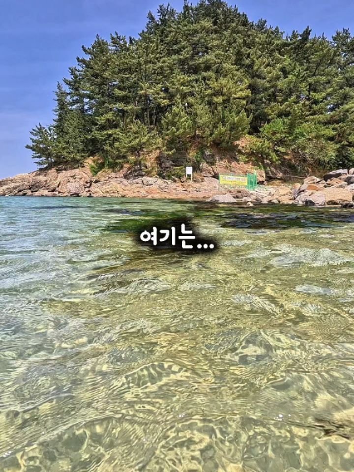 ant_works 게시물 이미지: 📍유리알 같은 투명한 바다 이번 휴가지는 이곳으로👍💯

🔥 바다물이 진짜...