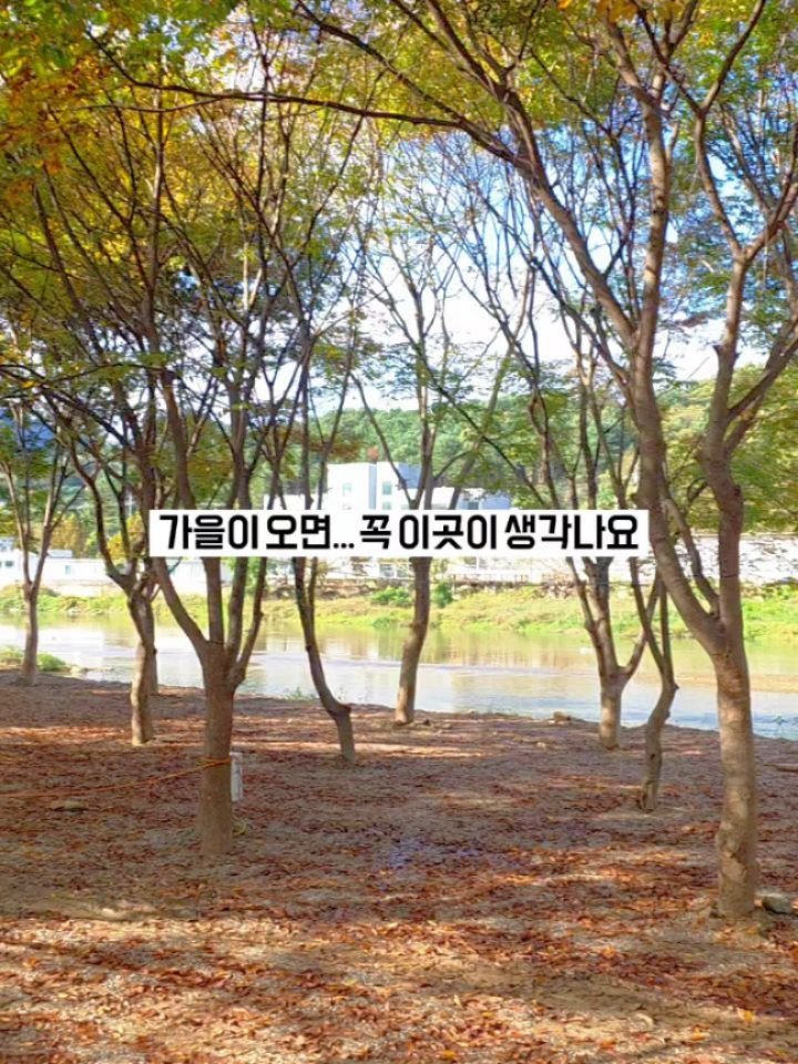 ant_works 게시물 이미지: 도심을 벗어나고 싶을 때,
그냥 ‘캠핑’이 아니라 ‘쉼’을 원할 때
이곳이...