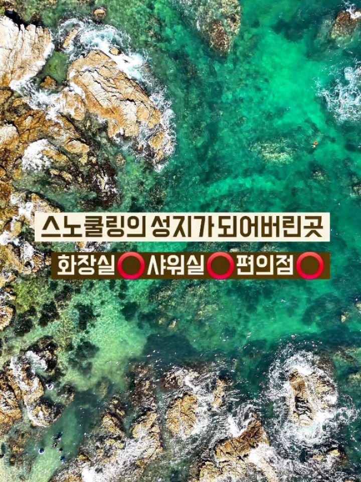 ant_works 게시물 이미지: 📍스노쿨링하기 너무 좋더라구요.
▪️앤웍 팔로우 분들께만 자세한 정보...