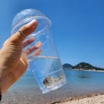 kkom3one 프로필 사진