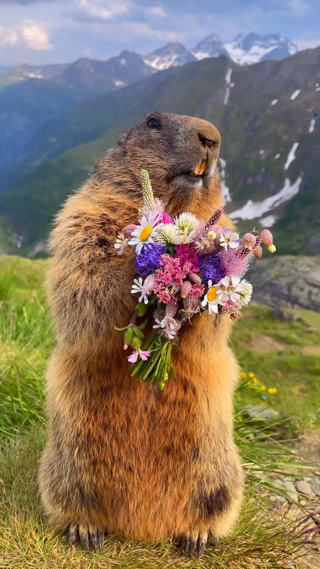 apple 게시물 이미지: Stop and smell the flowers. #ShotoniPhone by...