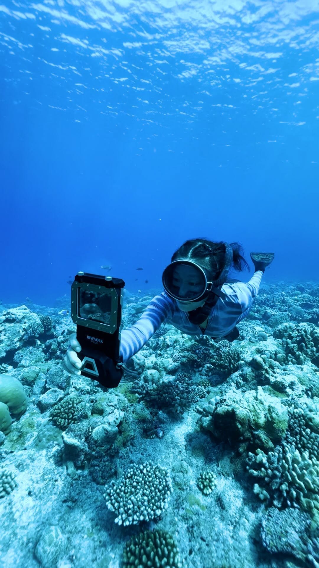 apple 게시물 이미지: In good company. #ShotoniPhone by @itstianyang...