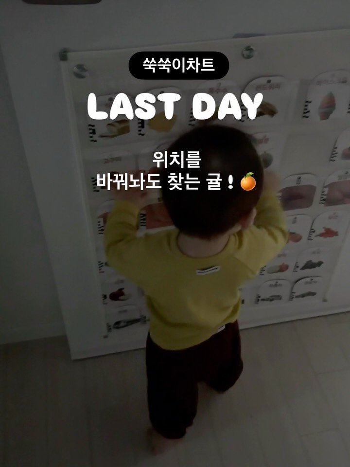 applemom.s 게시물 이미지: 쑥쑥이 차트 인상전 마지막 공구.. LAST DAY !!!!!!!!
‼️내년부터는...