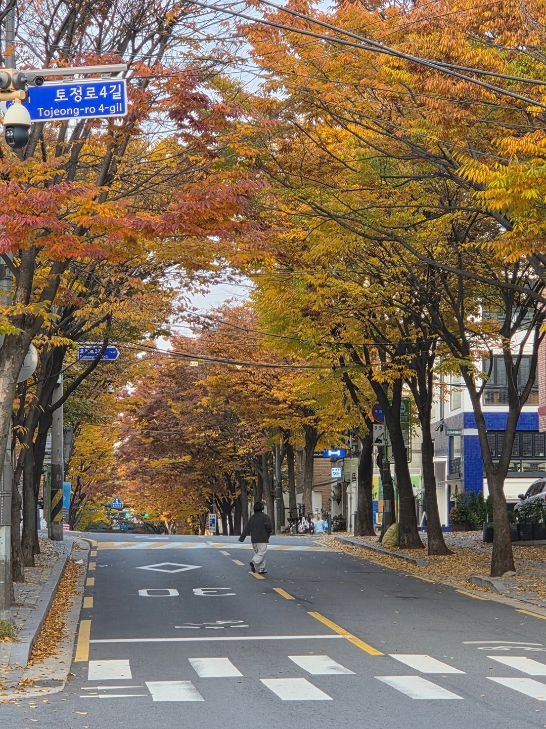 Photo by 감정평가사 오성범 on November 08, 2025. May be an image of street, road and text.