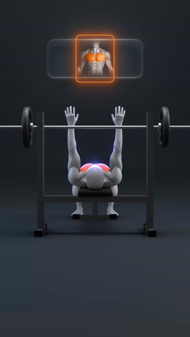 appyoucan 게시물 이미지: 🔥 The PERFECT Bench Press in 5 Steps