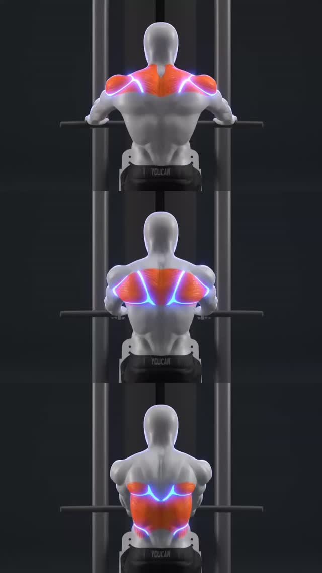 appyoucan 게시물 이미지: 🔥 Upper Back, Mid Back, or Lower Back? Your...